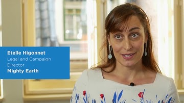 Cocoa and Forests Initiative