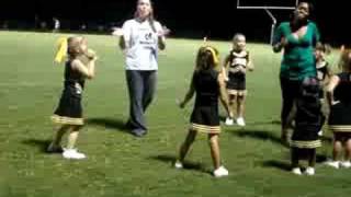 Youth Steelers Cheeleader Groves Out During Game