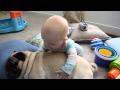 Baby and his pug