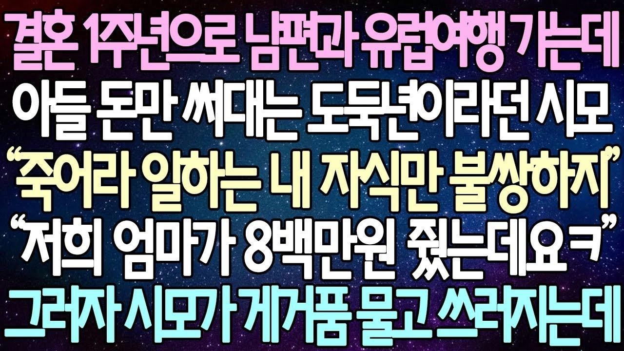 (반전 사연) 결혼 1주년으로 남편과 유럽여행 가는데 아들 돈만 써대는 도둑년이라던 시모 “저희 엄마가 8백만원 줬는데요ㅋ” 그러자 시모가 게거품 물고 쓰러지는데 사이다사연