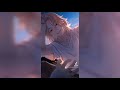 Manjiro Sano Tiktok Edits Compilation 