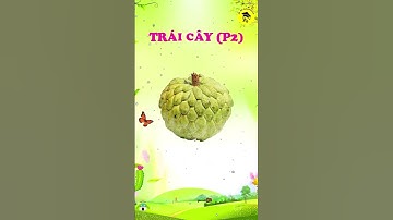 Bé học các loại trái cây p2 🍓 🍉 🍌 🍊 🥑