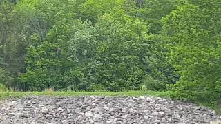 Franklin Falls Disc Golf Hole 10