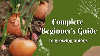 COMPLETE Beginner’s Guide to Growing Your Own Onions - Grow Perfect Onions