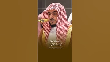 #الشيخ_الوليد_الشمسان #سورة_لقمان {12-13}