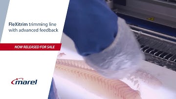 Marel FleXitrim pre-trimming line – Pre-trimming flowline