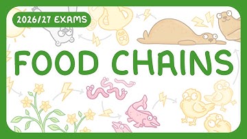 GCSE Biology - Food Chains & Predator-Prey Cycles (2026/27 exams)