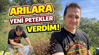 Artık Zamanı Geldi Petek Verdim
