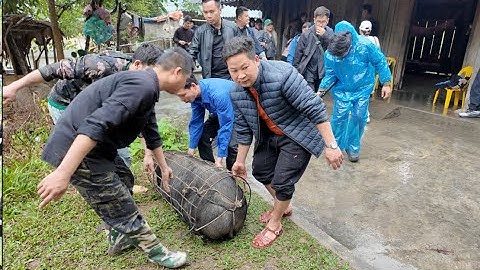 Đại tiệc lợn 89kg toàn món ngon Đại náo Lùng Chang cùng Sapa tv và Nga Sumo. Nguyễn Tất Thắng