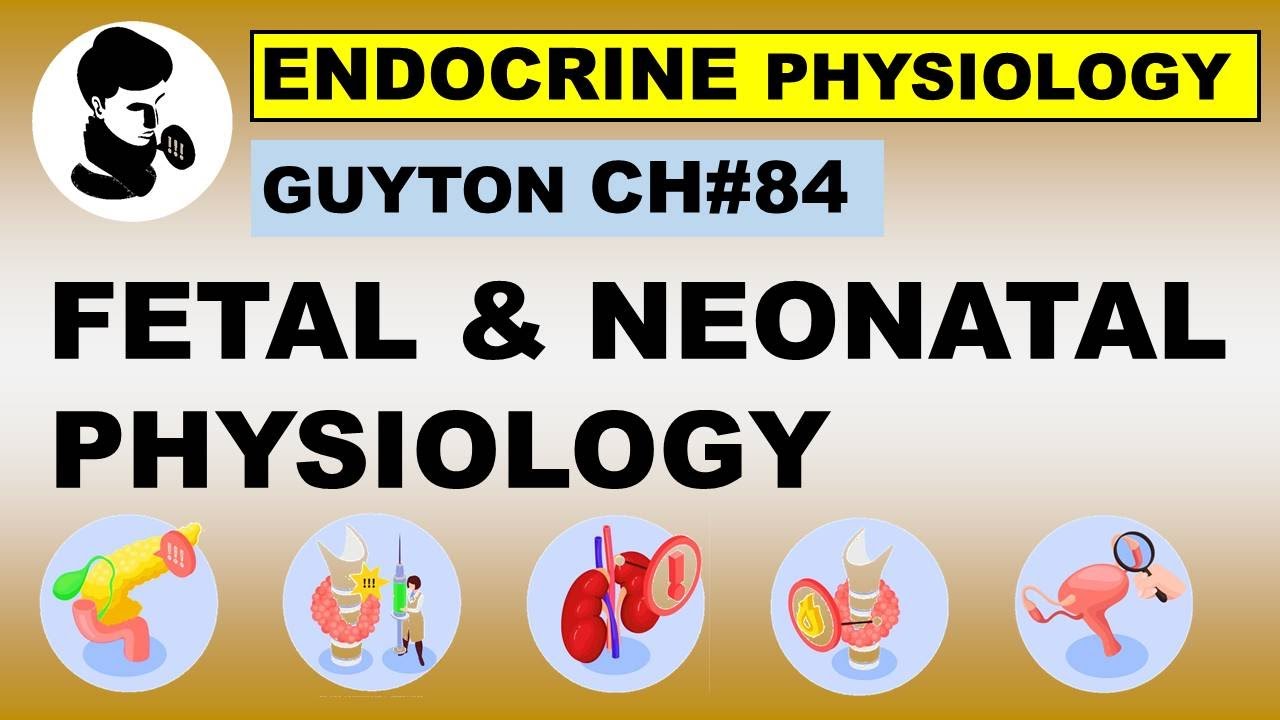 Ch#84 Physiology Guyton | Fetal & Neonatal Physiology | Reproductive Physiology | Dr Asif Lectures