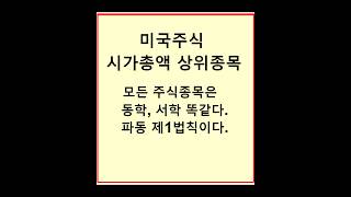 미국주식 시가총액 상위종목, 모든 주식종목은 동학, 서학 똑같다. #동학개미 #서학개미