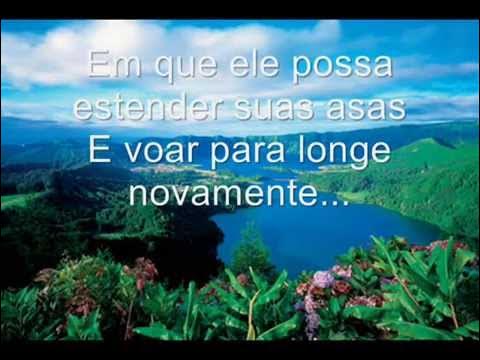 🎙️John Denver - Don't Close My Eyes🎶 (1985)🎼 Tradução ✨ #johndenver