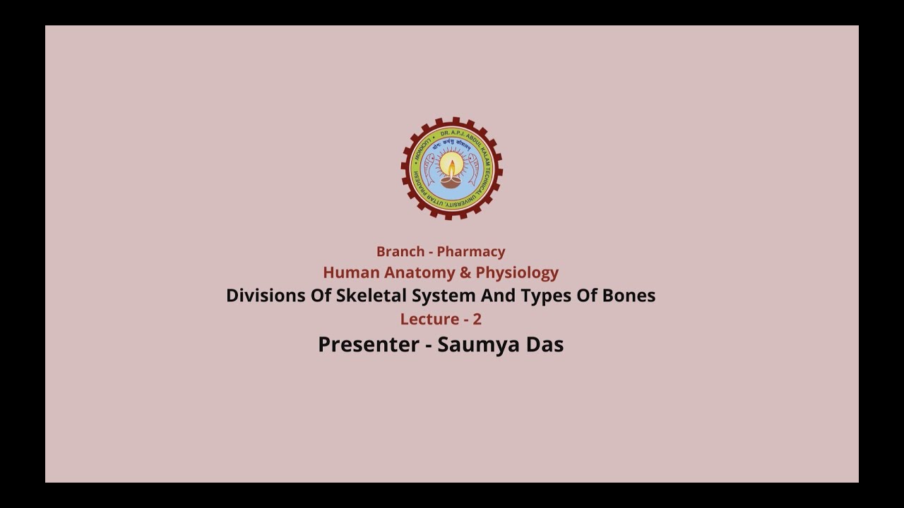 Human Anatomy & Physiology | Divisions of Skeletal System and Types of Bones| AKTU Digital Education