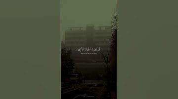 وإن ليسَ للإنسٰن إلا ما سعى،، سورة النجم. أُكتب شيء تؤجر عليه #fyp #quran #قرآن #اجر #حسنات