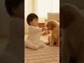 Baby Gives Lemon to Golden 赤ちゃんがゴールデンにレモンをあげたら…　#funny #Retriever #baby #husky #cute