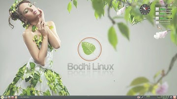 Bodhi Linux 5.1 Trailer