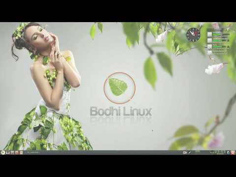 Bodhi Linux 5.1 Trailer