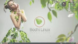 Download Bodhi Linux