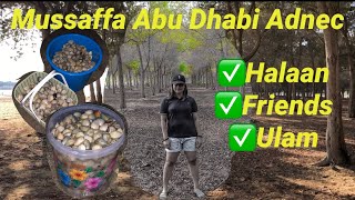 Libreng Ulam - Halaan sa Abu Dhabi || Mussaffa Park Adnec