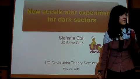 Stefania Gori:  New accelerator experiments for dark sectors