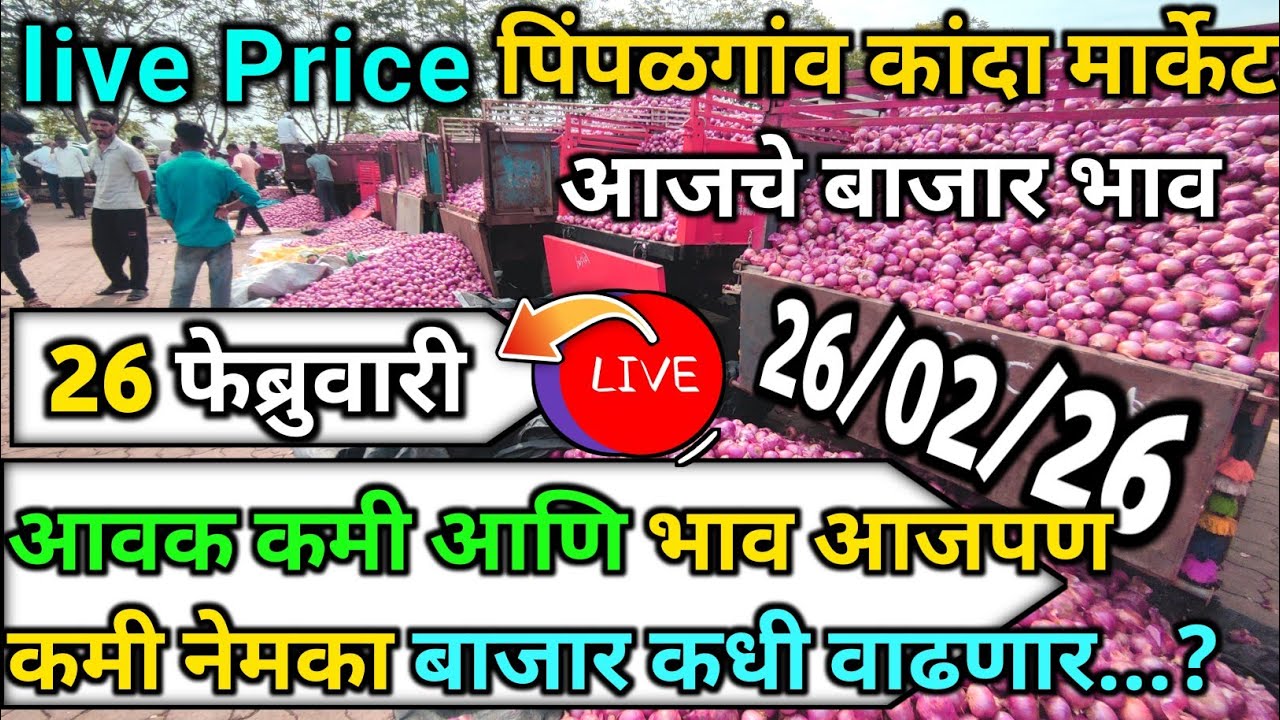 Pimpalgaon Onion Market Price Today:Latest Rates And Insights 26 February 2025