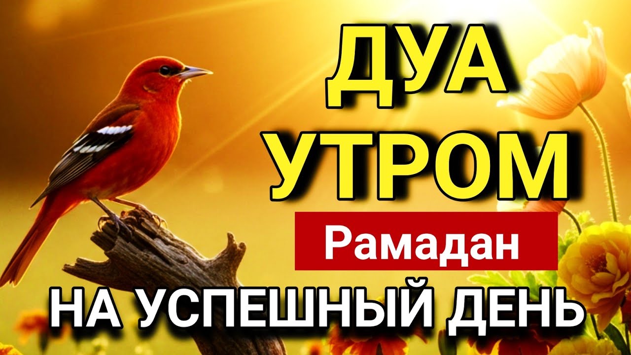 ☝️💕 ДУА УТРОМ — НАЧНИ ДЕНЬ С АЛЛАХОМ 🔑🤲✨💯