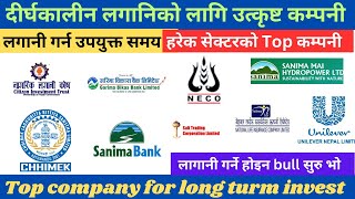 Top Company For Long Turm Invest दरघकलन लगनक लग उतकषट कमपन लगन गरन क? Shree