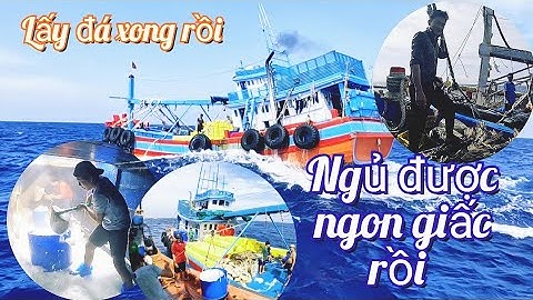 Nhờ Cá Ngừ Ở Vác Lưới Thứ 2 | Đánh Cá 2025 - Tập 23 | Sóng Biển Hứa Đông