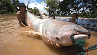 List 70- Net Fishing In Battambang Province - Khmer Cast Net Fishing - Cambodia Traditional Fishing