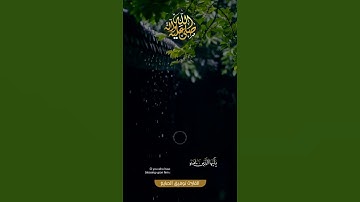 آية الصلاة على النبي ¦¦ القارئ توفيق الصايغ #حالات #ستوري #سناب