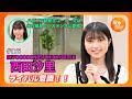 【tinytiny#175】ゲスト:BEYOOOOONDS/CHICA#TETSU 西田汐里 MC:みつばちまき・中島卓偉 メンバーコメント: 山﨑夢羽 ハロプロ研修生 米村姫良々スタジオ登場！