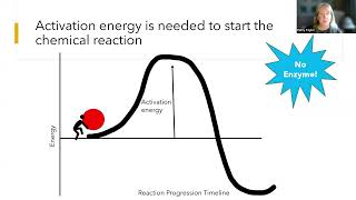 Enzymes