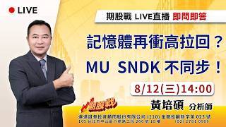 記憶體再衝高拉回？MU SNDK 不同步！20260812 黃培碩 分析師 運達證券投顧