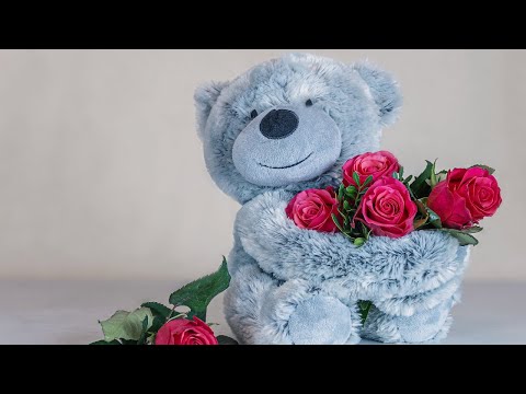 Happy Teddy Bear Day | Teddy day wishes |Teddy day Quotes | DIY, gift ideas