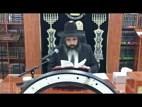 שיעורו השבועי של הרב איתן אברהם שליט"א פרשת כי תבוא