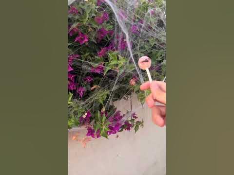 Вкусный домашний леденец 🍭 - YouTube