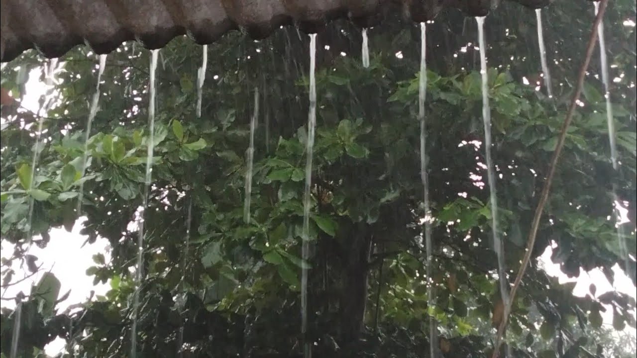 The world's most sought after heavy rain sounds, deep sleep and instant healing 🌧️