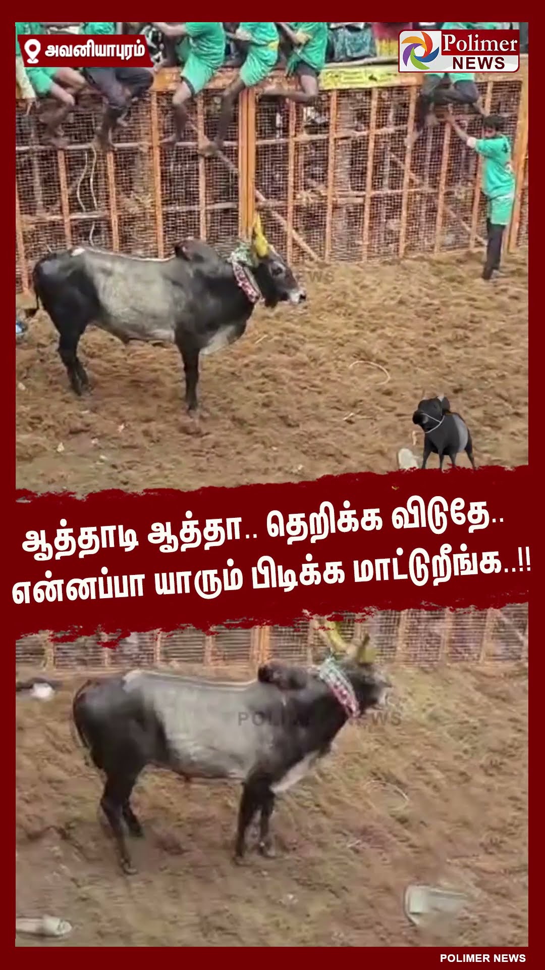 ஆத்தாடி ஆத்தா.. தெறிக்க விடுதே.. என்னப்பா யாரும் பிடிக்க மாட்டுறீங்க..!! #shorts