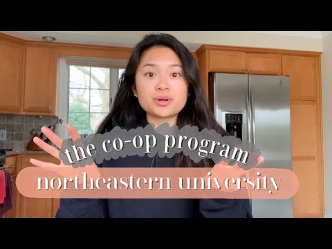 the co-op program explained | Northeastern University