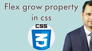 flex grow property in CSS