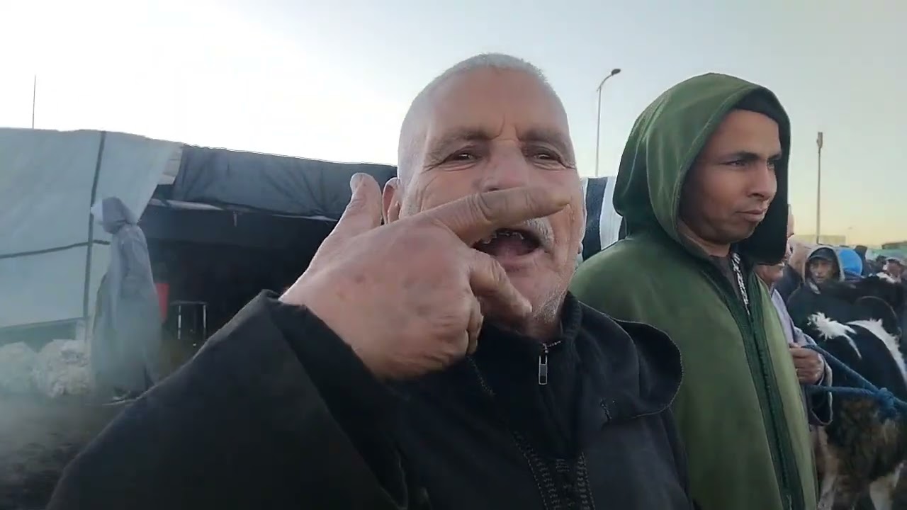 تمن الابقار سوق قلعة السراغنة تاريخ 16 فبراير 2026