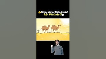 👁️ You See, But You Do Not Observe! 3 Seconds to Find the Difference! #puzzle #riddle #brainteaser