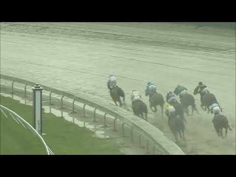 video thumbnail for MONMOUTH PARK 5-20-23 RACE 8 – SPRUCE FIR HANDICAP