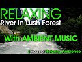 3 Hour Relaxing River in a Beautiful Lush Green Forest with Soothing Sounds of Water &amp; Music