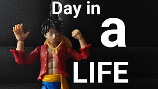 A Day in a life of Monkey D. Luffy
