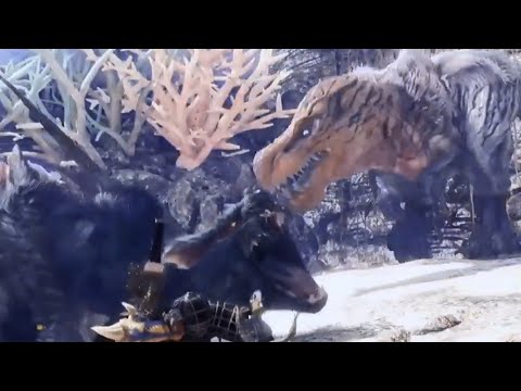 Mhwi 縄張り争い ナルガクルガvsアンジャナフ亜種 オドガロン亜種 モンスターハンターワールド アイスボーン Monster Hunter World Iceborn モンハン Youtube