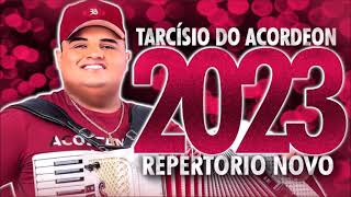 #FORRO(2023)🎵AS MAIS TOCADAS DO FORRÓ E PISEIRO 🎵 FORRÓ E PISEIRO#(2023)🎵