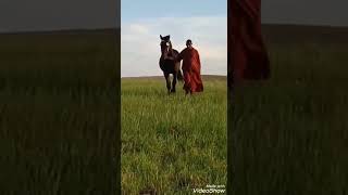 Titleقناة عشاق الخيل وفنون التبوريدة تقدم لكم خيرات اليوسفية