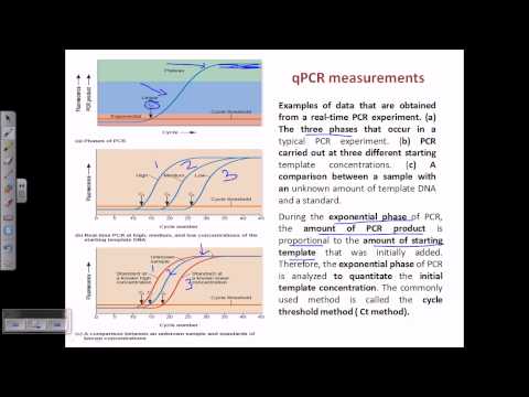 Video: Niedrige BRAF V600-Mutationsprävalenz Beim Primären Hautknotenmelanom In Indonesien: Ein Echtzeit-PCR-Nachweis Bei Javanischen Patienten