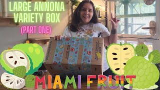 So Sweet!  Tasting flavorful tropical fruits from Miami Farms. The Annona Variety Box: Part 1!